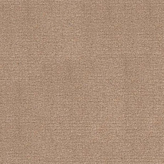 Ковролин Radici Abetone Beige 4129 фото 1 | FLOORDEALER